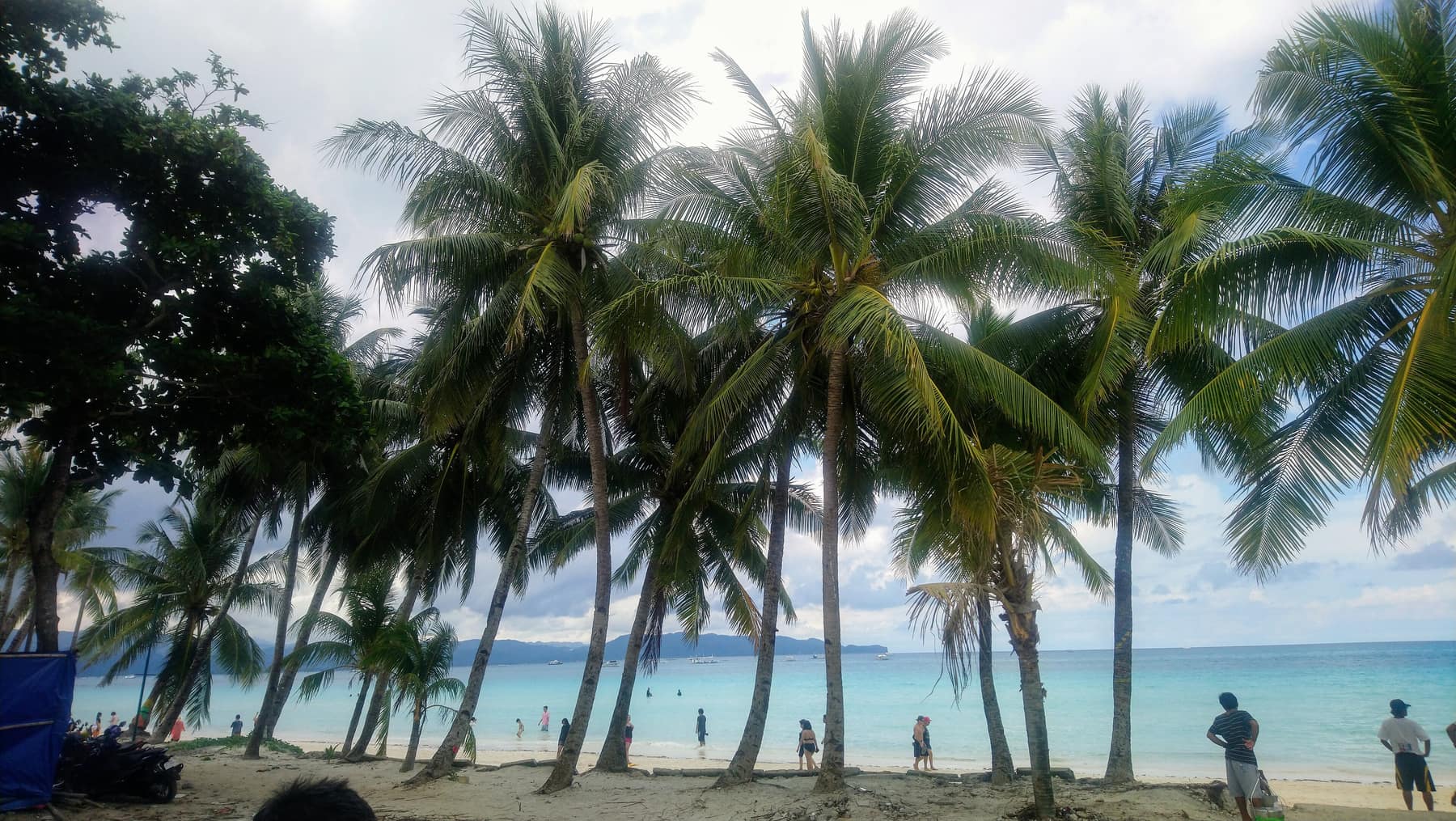 Stand-in photo of a palm-lined sandy beach. Not a photograph of Salvacion Beach.