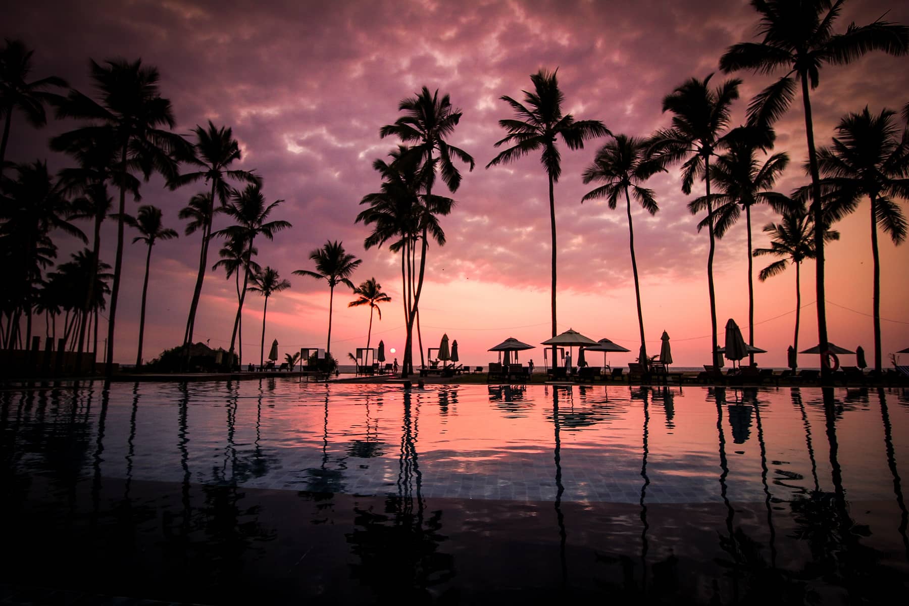 Stand-in photo of a resort pool at dusk with palm silhouettes. Not Salvatierra’s pool.